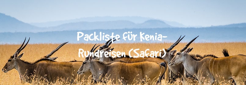 safari kenia packliste