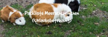 meerschweinchen urlaubsbetreuung packliste