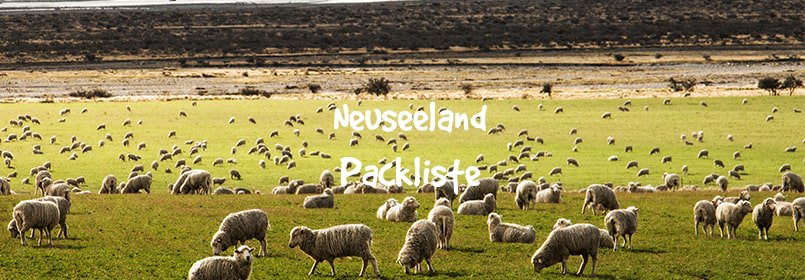 neuseeland packliste