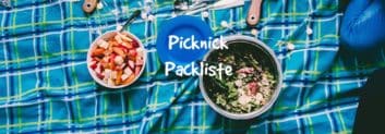 picknick packliste