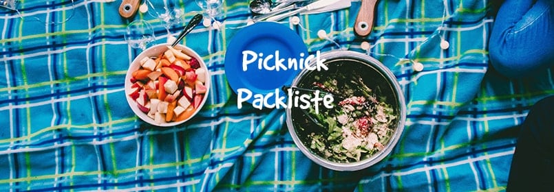 picknick packliste