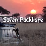 Packliste für Safari-Reisen