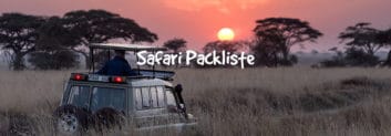 safari packliste