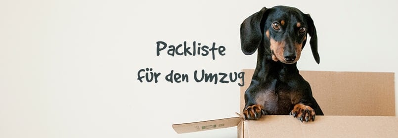 umzug packliste