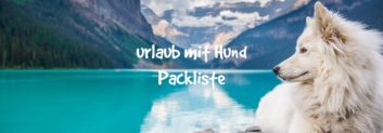 urlaub mit hund packliste